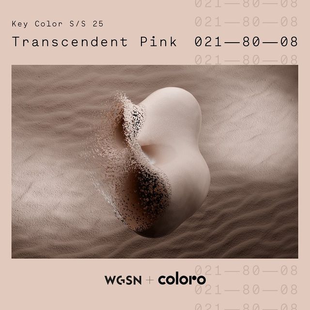 關(guān)鍵色coloro 021-80-08